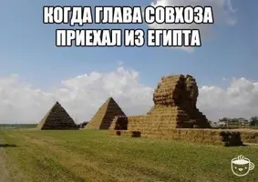 be607d7c579c3d1a9f0d35508b1bdc9f.webp
