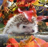IMG_20210911_235911_.webp