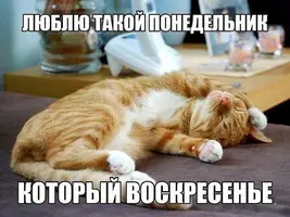 2021-09-12-11-38-22.webp