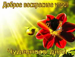 IMG-20210912-WA0003.webp