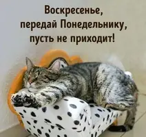 22f7fc208993ab3001e06c2a6967be00.webp