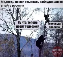 af909621ab6f8521fa494039691cda95.webp