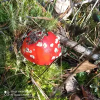 IMG_20210912_123121_compress53.webp