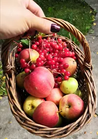 Screenshot_20210912_195817.webp