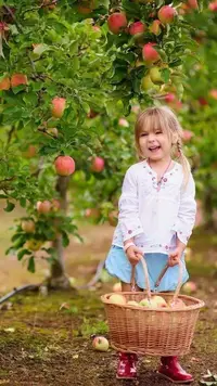 8748.webp