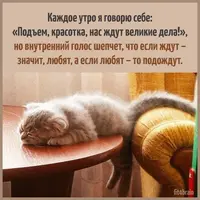 a2ebac6a44e59a89e2afe739d430d9cf.webp