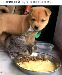 Screenshot_20210910_211057.webp