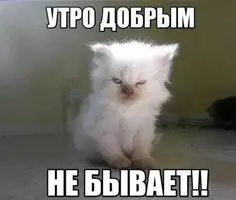 2021-09-14-09-31-08.webp