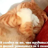 IMG_20210913_121035_138.webp