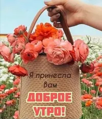 Screenshot_20210722_174254.webp