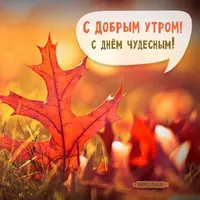 93823413f1c25746178a88482b014e15.webp