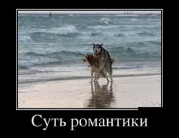 564ee79fd01f757657812fdc51818eae.webp