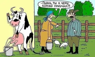 a5173d00cd19c36bec52ccbcd5dbc937.webp