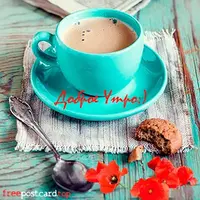 955b21c9e6fac4334338cd00aab69d30.webp