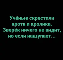 _122959.webp