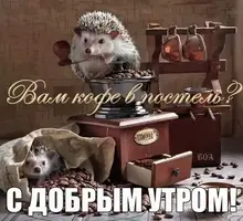 313ca3d8cca79393ad9725f667dda529.webp