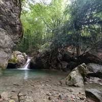 J__S9c1Gs-4.webp