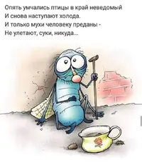 IMG_20210915_210624.webp