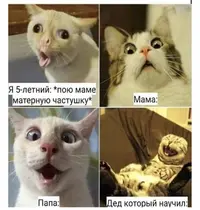 bdb055d4f396999c3e8d13868876b16a.webp