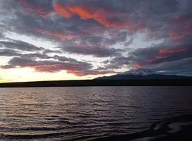 Screenshot_2021-09-13-14-12-05-54_07-21-03.webp