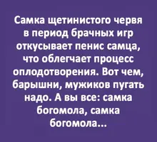 Screenshot_20210915_172409.webp