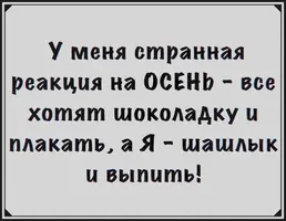 4RCX4uWfUKg.webp