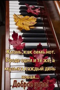 Screenshot_20210914_102256.webp
