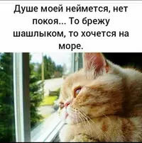 hDRhNpHbOIg.webp