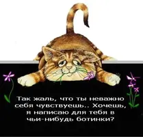 36427499.webp