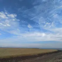 uk90D1YMQoA.webp