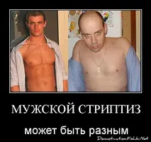 64151.webp