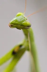 _DSC1176.webp