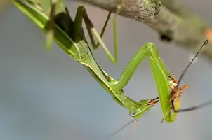 _DSC0982-2.webp