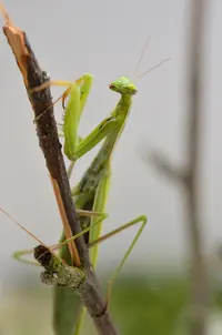 _DSC1166.webp
