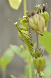 _DSC1179.webp