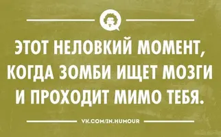 169743_5245746a9e484904229b9266b02afea1_800.webp
