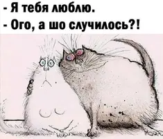 213136.webp