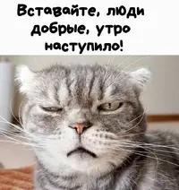 IMG-20210918-WA0000.webp