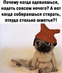 090253.webp