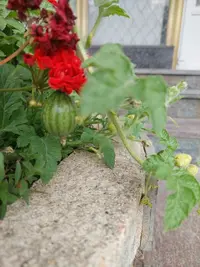 20210918_151646.webp