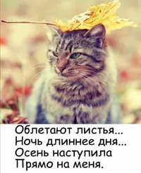 Screenshot_20210918_193107.webp
