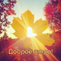 7d9c4dd53554912a93ce00203e1a5131.webp