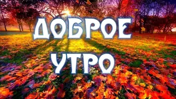 IMG-20210919-WA0000.webp