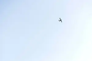 _DSC5206.webp