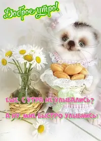 FB_IMG_1632110788228.webp