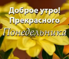 IMG-20210920-WA0004.webp