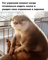 IMG-4f5fe9d0e994cc10c87b947c0d2259f5-V.webp
