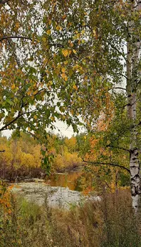 20210920_150828.webp