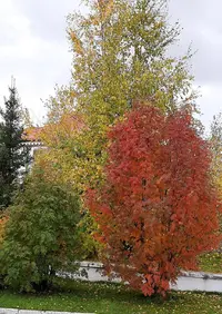 20210920_124849.webp