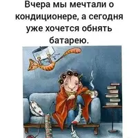 ca2226822b4a05f5998361bb57d15857.webp